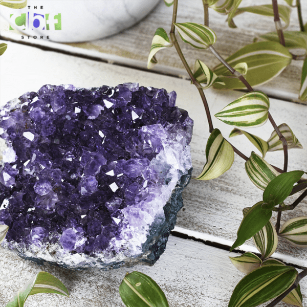 Brazil Amethyst Cluster on a table with leafs around it