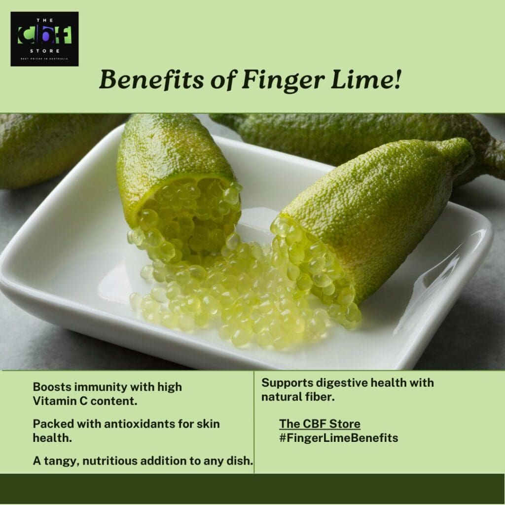 Close-up of finger limes, one of Australian Superfoods, showing vibrant green citrus pearls bursting with flavor.